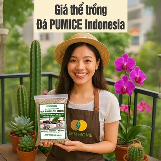 Đá bọt PUMICE- Vinabonsai,  Đất Trồng Sen Đá, Giá Thể Trồng Cây, Lót Chậu, Nhiều Khoáng Chất