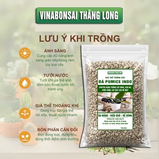 Đá bọt PUMICE- Vinabonsai,  Đất Trồng Sen Đá, Giá Thể Trồng Cây, Lót Chậu, Nhiều Khoáng Chất