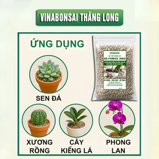 Đá bọt PUMICE- Vinabonsai,  Đất Trồng Sen Đá, Giá Thể Trồng Cây, Lót Chậu, Nhiều Khoáng Chất