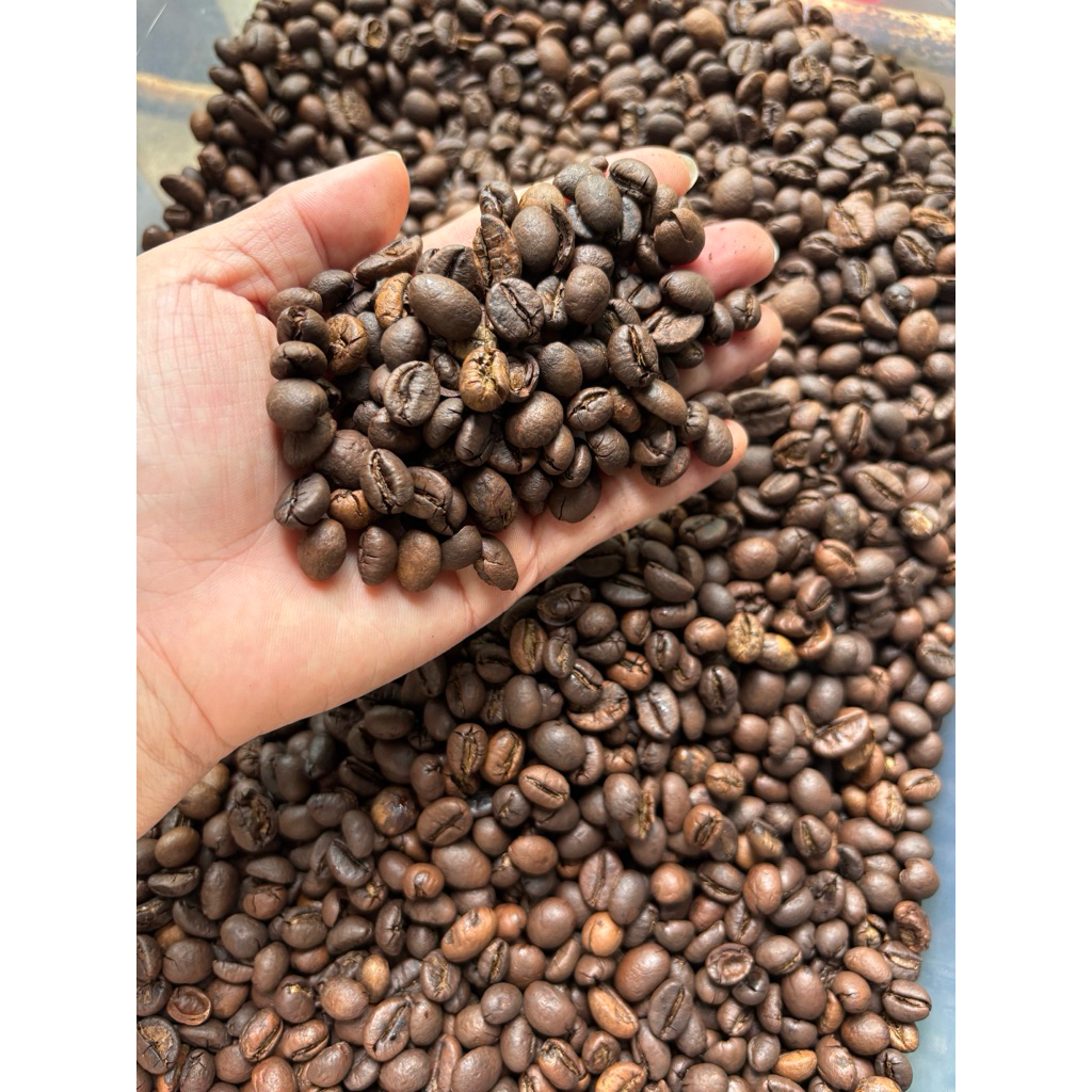Cà phê rang xay nguyên chất Robusta 500g – cà phê mộc đậm vị, pha phin & pha máy | MM04