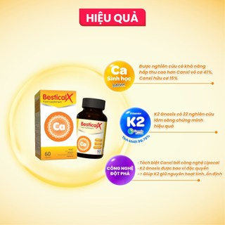 [HOT DEAL] Combo 2 BesticalX 60v - Tặng 1 gấu bông capy 20cm