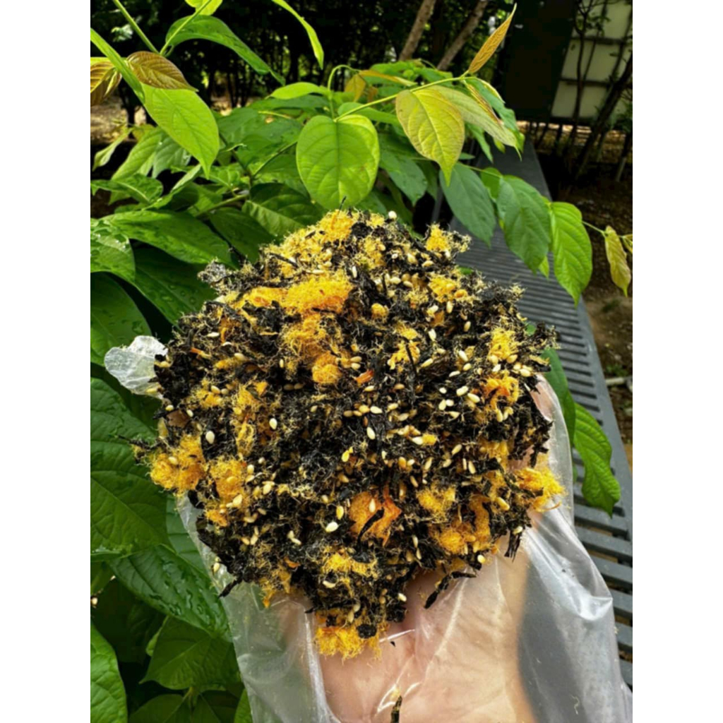Rong Biển Vụn Rắc Cơm Cho Bé, ăn vặt Không Chất Bảo Quản