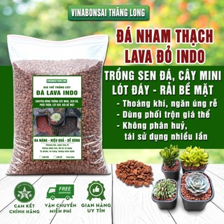 Đá Nham Thạch Lava Đỏ, Giá Thể Cho Thủy Sinh, Bonsai, Xương Rồng, Phối trộn đất trồng
