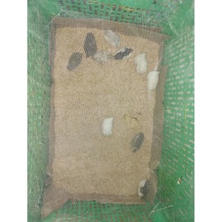 vỏ lúa vỏ chấu khô tự nhiên 3kg dùng lót chuồng gà pha trộn vào đất giữ ẩm tốt