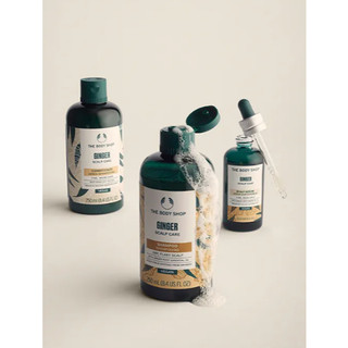 Dầu Gội Gừng Cho Da Đầu Gàu Ginger Scalp Care Shampoo The Body Shop - CÔ THƯ MARKET