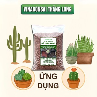 Đá Nham Thạch Lava Đỏ, Giá Thể Cho Thủy Sinh, Bonsai, Xương Rồng, Phối trộn đất trồng