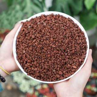Đá Nham Thạch Lava Đỏ, Giá Thể Cho Thủy Sinh, Bonsai, Xương Rồng, Phối trộn đất trồng