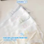 Quần Lót Nữ Cotton Viền Su Màu Pastel Dễ Thương, Quần Chip Nữ Cạp Vừa Ôm Dáng Đáy May Kháng Khuẩn ZANABRA LY03