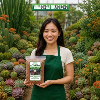 Đá Nham Thạch Lava Đỏ, Giá Thể Cho Thủy Sinh, Bonsai, Xương Rồng, Phối trộn đất trồng
