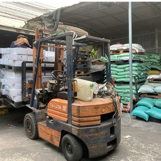 Ngũ Cốc Gà Đá NHƯ TRƯƠNG - Ngũ Cốc 12 Loại Hạt 3 Loại Cám Thức Ăn Cho Gà Chọi, Gà Tre (Bao 5kg/10kg)