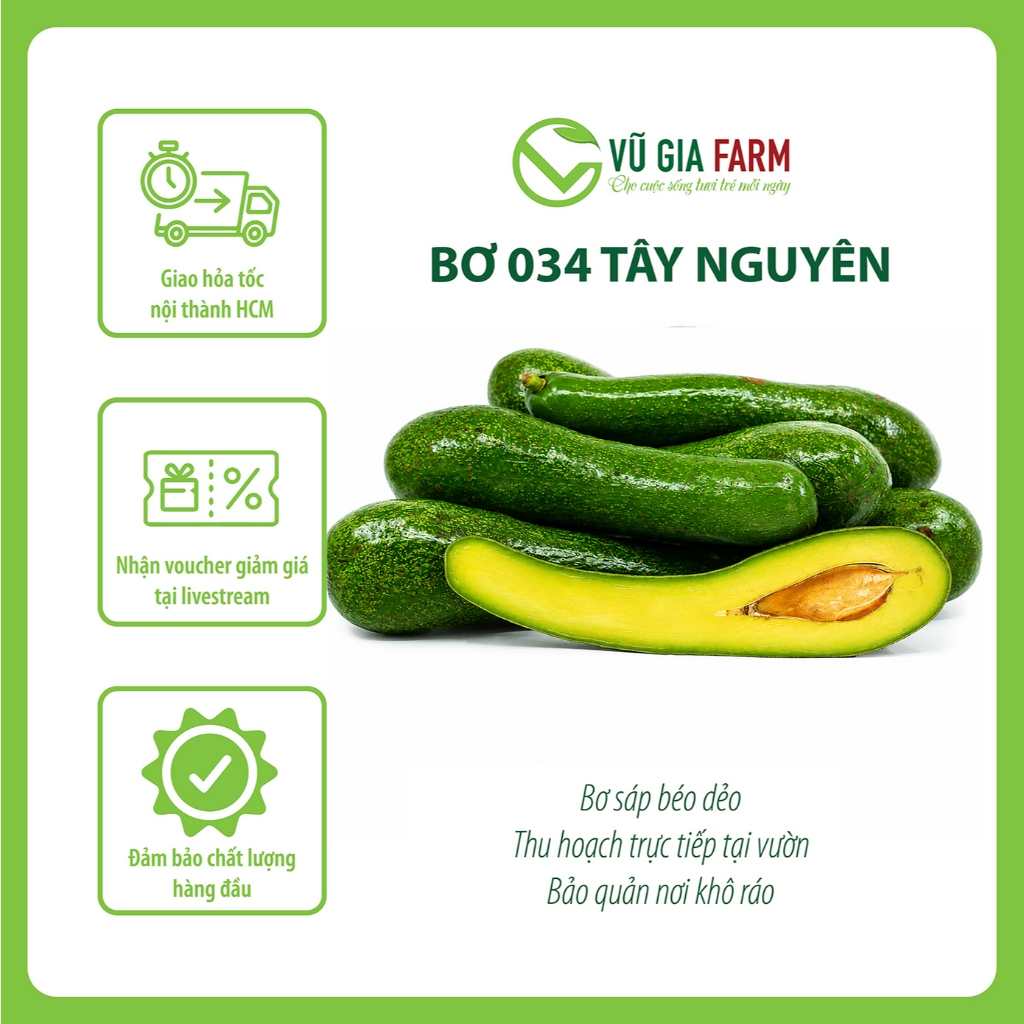 [TOÀN QUỐC SIZE NHỎ] Bơ 034 Size 3-4-5 trái/kg Tây Nguyên Vũ Gia Farm - bơ sạch nhà trồng, thu hoạch trực tiếp