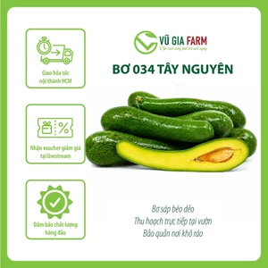 Bơ 034 Size 3-4-5 trái/kg Tây Nguyên Vũ Gia Farm - bơ sạch nhà trồng, thu hoạch trực tiếp