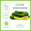 Bơ 034 Size 3-4-5 trái/kg Tây Nguyên Vũ Gia Farm - bơ sạch nhà trồng, thu hoạch trực tiếp