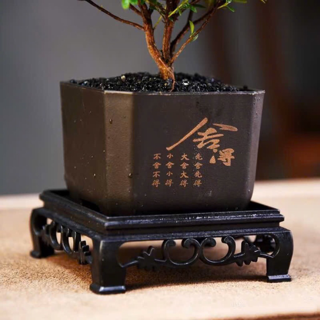 Chậu nhựa bonsai mini kèm đế,kích thước 7x7cm phù hợp cây bonsai