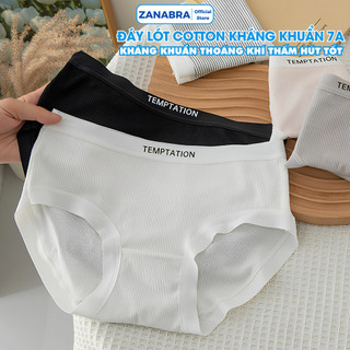 Combo 5 Quần Lót Nữ Cotton Kẻ Sọc Viền Su, Quần Chip Nữ Đáy May Kháng Khuẩn ZANABRA LY08