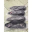 Bas pô / Ốp che pô xe Lead 2013 đến 2016 125cc- nhựa dẻo - đẹp