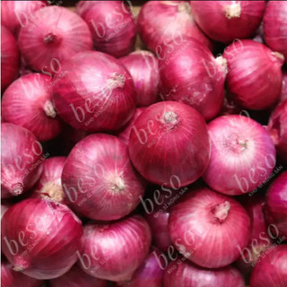 [Mua 500g Gừng Tặng 500g Hành Ấn Độ] Gừng Sẻ - 500g - 1kg - 2kg - Gừng Khô Thơm Cay - Gia Vị Cho Mọi Món Ăn