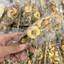 Bánh thuyền hạt dinh dưỡng [Có hóa đơn VAT]