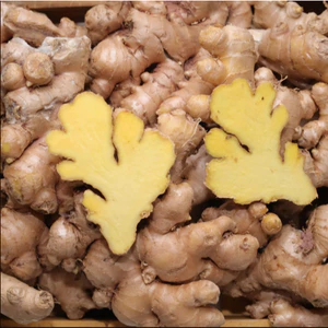 Gừng Sẻ - 500G - 1Kg - 2Kg - Gừng Khô Thơm Cay - Gia Vị Cho Mọi Món Ăn