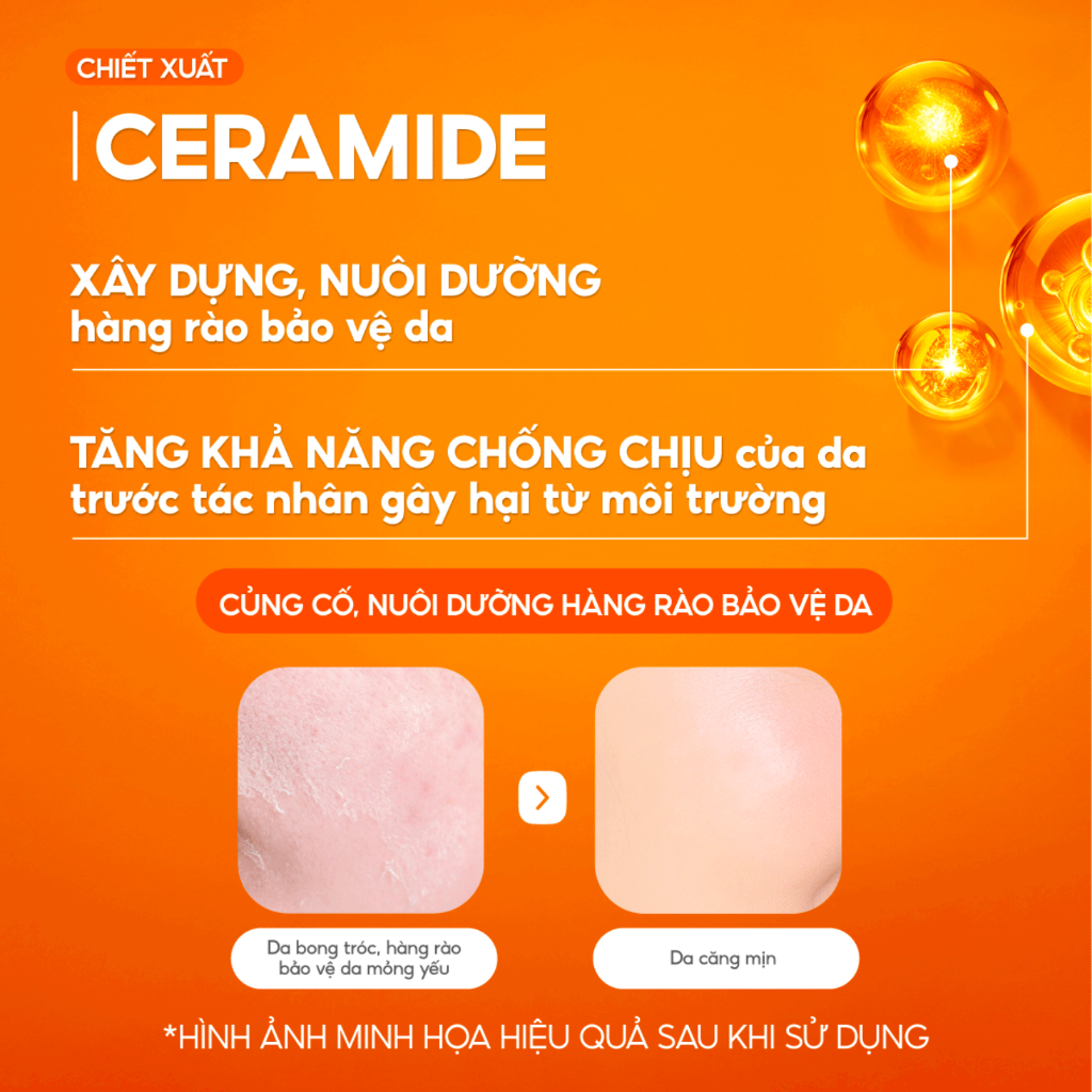 Combo 2 Kem Nấm Chaga Cấp Ẩm Chuyên Sâu, Da Căng Mịn và Giảm Nếp Nhăn G.G.G Super Revitalize Mushroom Cream 50g