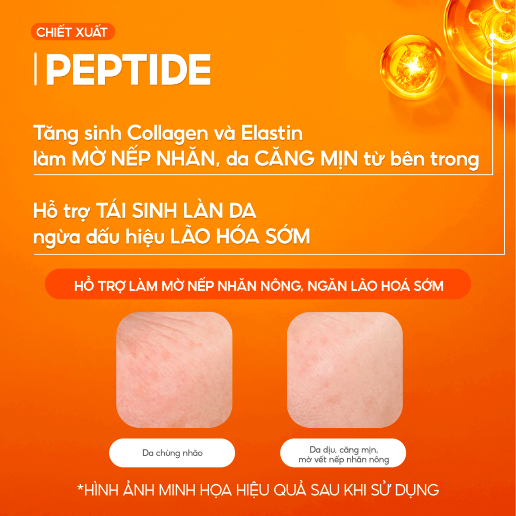 Combo 2 Kem Nấm Chaga Cấp Ẩm Chuyên Sâu, Da Căng Mịn và Giảm Nếp Nhăn G.G.G Super Revitalize Mushroom Cream 50g