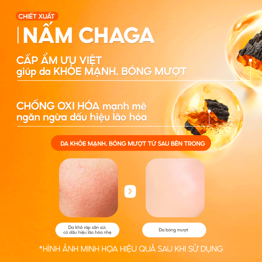 Combo 2 Kem Nấm Chaga Cấp Ẩm Chuyên Sâu, Da Căng Mịn và Giảm Nếp Nhăn G.G.G Super Revitalize Mushroom Cream 50g