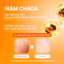 Kem Dưỡng Nấm Chaga Cấp Ẩm Sâu, Tái Tạo Da và Giảm Nếp Nhăn G.G.G Super Revitalize Mushroom Cream 50g