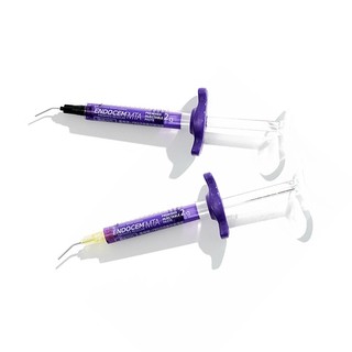 Endocem MTA Vật Liệu Che Tủy Trộn Sẵn, Maruchi Hàn Quốc, Ống 2g
