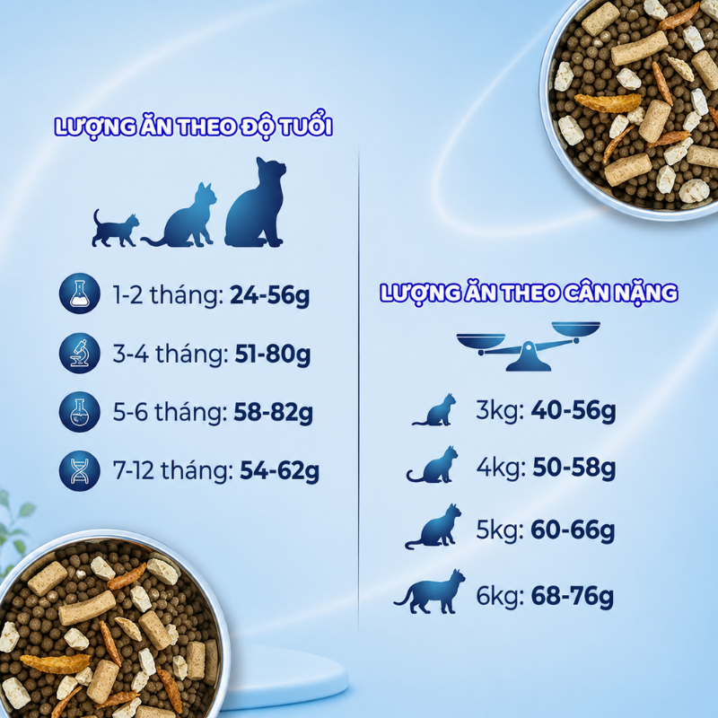 [Combo 3 Túi 1KG] Thức Ăn Hạt Mix Thịt Sấy Master X Cat Cho Mèo Với 3 Loại Thịt Sấy: Thịt Gà, Thịt Xương, Tôm Krill