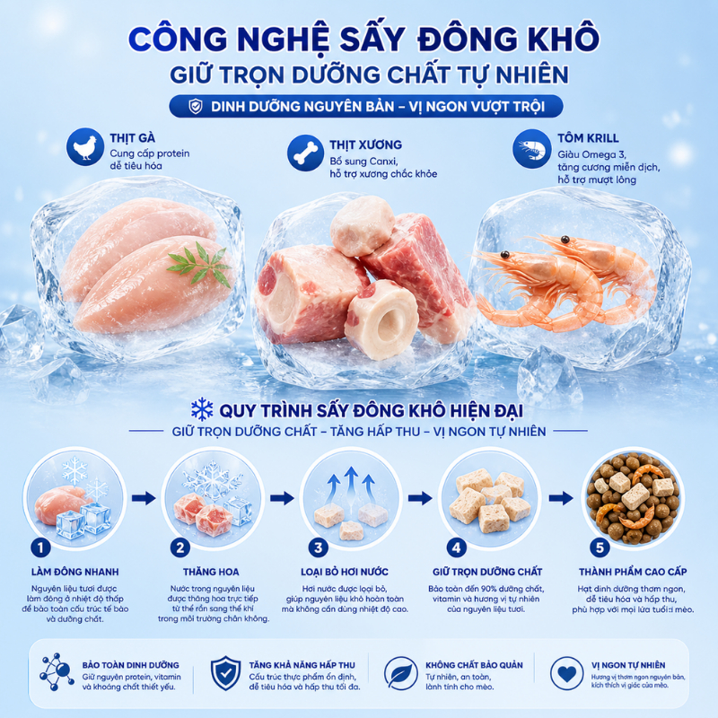 [Combo 3 Túi 1KG] Thức Ăn Hạt Mix Thịt Sấy Master X Cat Cho Mèo Với 3 Loại Thịt Sấy: Thịt Gà, Thịt Xương, Tôm Krill