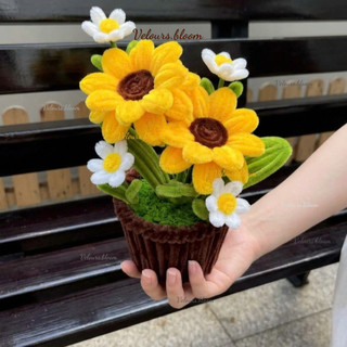 Velours.bloom - Chậu Hoa Kẽm Nhung Handmade Hướng Dương Rực Rỡ & Tulip Thanh Lịch