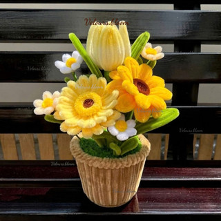 Velours.bloom - Chậu Hoa Kẽm Nhung Handmade Hướng Dương Rực Rỡ & Tulip Thanh Lịch