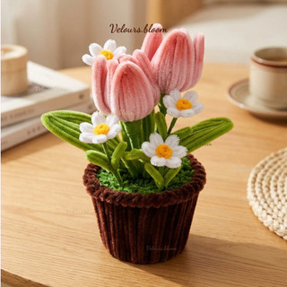Chậu 2 Hoa Tulip Màu Hồng Nhạt Mix Hoa Cúc Trắng Kẽm Nhung Velours.bloom – Handmade Cho Góc Làm Việc Decor