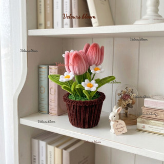 Chậu 2 Hoa Tulip Màu Hồng Nhạt Mix Hoa Cúc Trắng Kẽm Nhung Velours.bloom – Handmade Cho Góc Làm Việc Decor