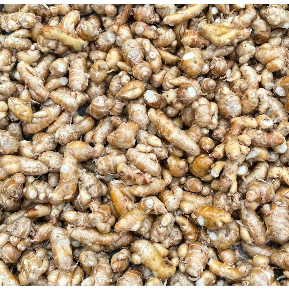 Trải Nghiệm 5K Củ Xá Kén, Địa Liền 1 Nắng – Gia Vị Đặc Sản Dân Dã.