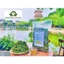 Cây Xương Khỉ (Cây Bìm Bịp) Loại 1 (Khô, Sạch, Thơm) - Hỗ Trợ Ung Thư, Men Gan Cao