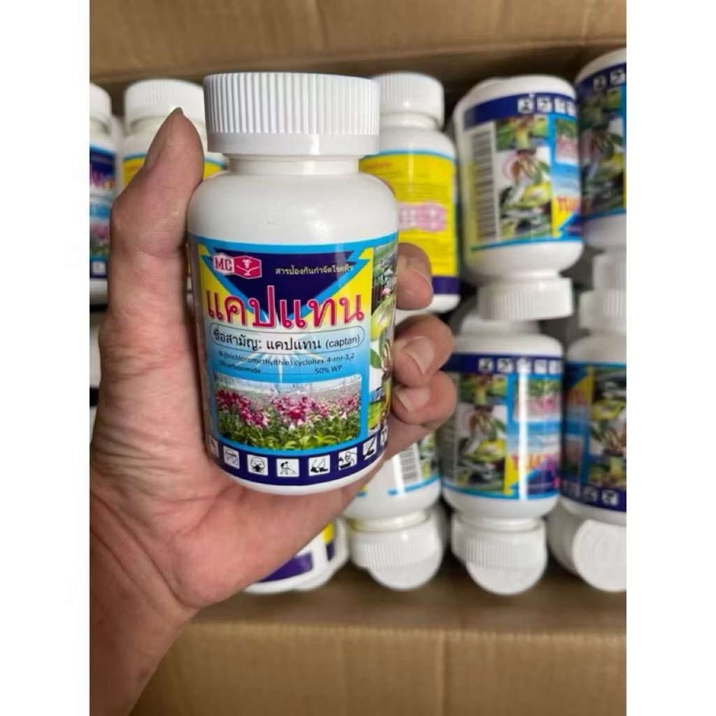 Captan Thái Lan - Trị Thối Nhũn Trên Phong Lan Và Cây Cảnh (100g)