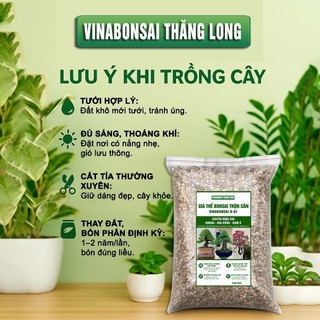 Đất Trồng BONSAI - Giá thể Vinabonsai B01 , Trộn Sẵn, Giữ Ẩm Tốt, Thoáng Khí, Rễ Tốt, Thân Khoẻ