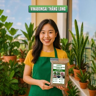 Đất Trồng BONSAI - Giá thể Vinabonsai B01 , Trộn Sẵn, Giữ Ẩm Tốt, Thoáng Khí, Rễ Tốt, Thân Khoẻ