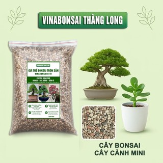 Đất Trồng BONSAI - Giá thể Vinabonsai B01 , Trộn Sẵn, Giữ Ẩm Tốt, Thoáng Khí, Rễ Tốt, Thân Khoẻ