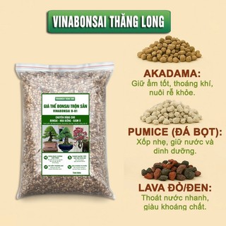 Đất Trồng BONSAI - Giá thể Vinabonsai B01 , Trộn Sẵn, Giữ Ẩm Tốt, Thoáng Khí, Rễ Tốt, Thân Khoẻ