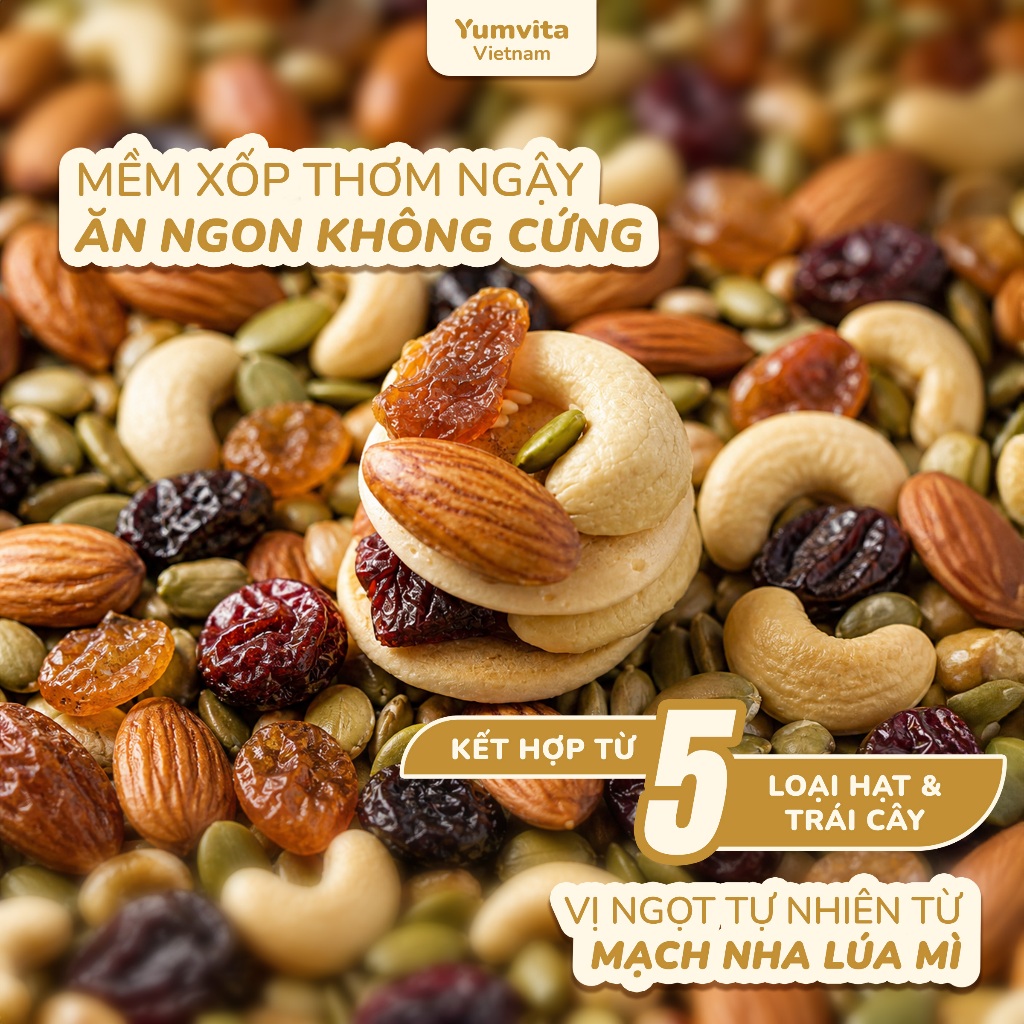 [MUA 2 GIẢM 40%] Bánh Hạt Dinh Dưỡng Yumvita - 200gr Kết hợp 5 loại hạt và trái cây đến từ Đắk Lắk