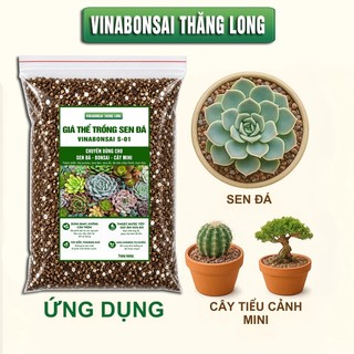 Đất trồng SEN ĐÁ, xương rồng, giá thể Vinabonsai S-01 siêu thoát nước, chống úng, giàu dinh dưỡng