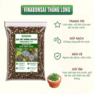Đất trồng SEN ĐÁ, xương rồng, giá thể Vinabonsai S-01 siêu thoát nước, chống úng, giàu dinh dưỡng