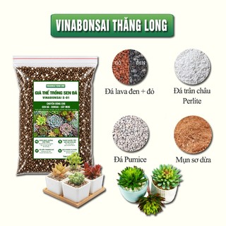 Đất trồng SEN ĐÁ, xương rồng, giá thể Vinabonsai S-01 siêu thoát nước, chống úng, giàu dinh dưỡng