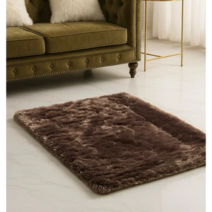 Thảm Chùi Chân Chống Trượt Cao Cấp – Thảm Lau Chân Lông Mịn Sang Trọng 60x80cm.