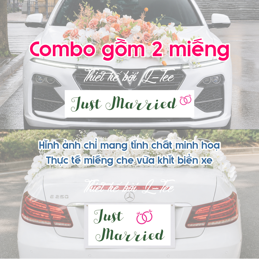 Decal che biển số xe hoa đám cưới - Just Married