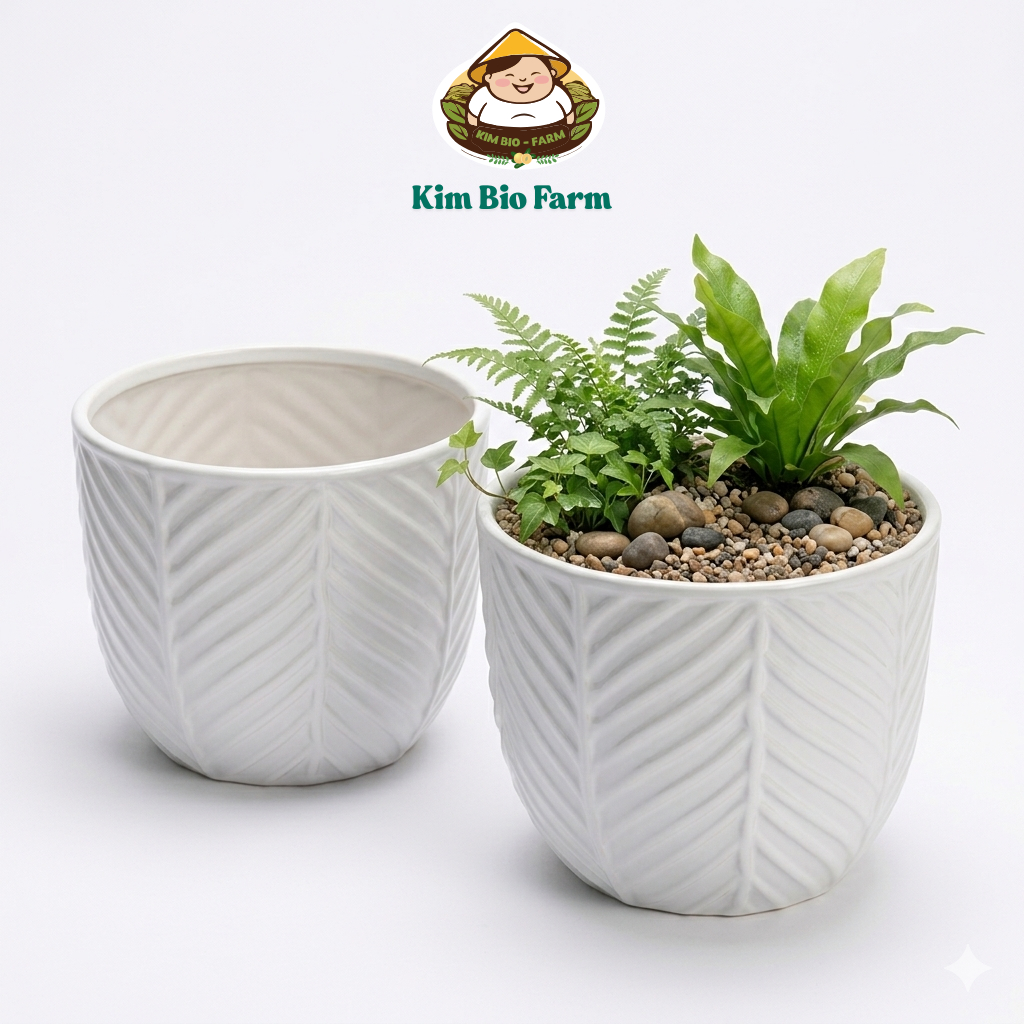 Chậu Vân Lá Nhựa Cao Cấp – Chậu Trồng Cây Trang Trí Ban Công, Sân Vườn, Quán Cafe Đẹp Hiện Đại
