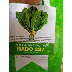 Hạt Giống Cải Kale Khủng Long gói 5gr, Rau Ăn Lá Rạng Đông Rado 227, Hạt Nảy Mầm Nhanh, Mạnh