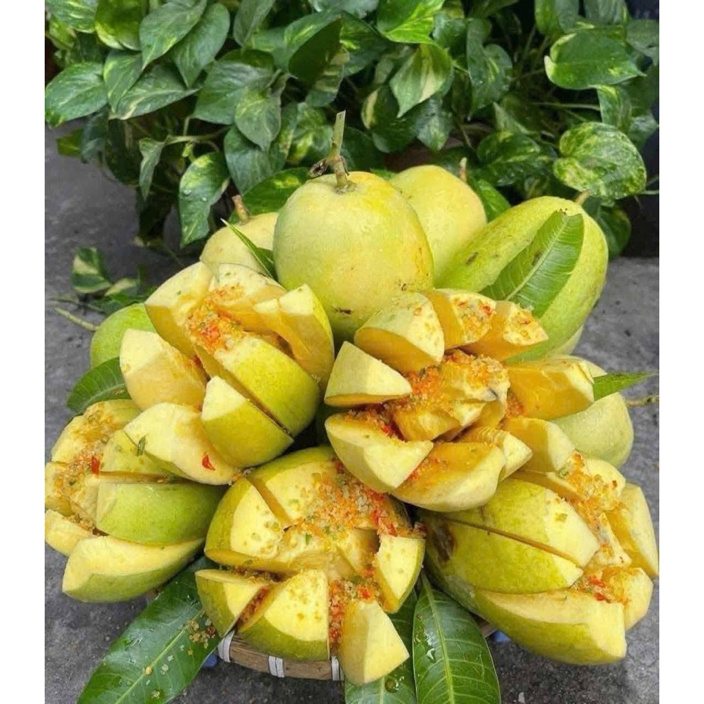 Xoài tứ quý - Giá Tốt, Miễn Phí Vận Chuyển, Đủ Loại | Shopee Việt Nam